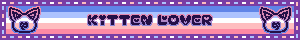 description to be added