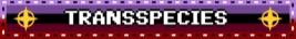 description to be added