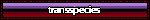 description to be added